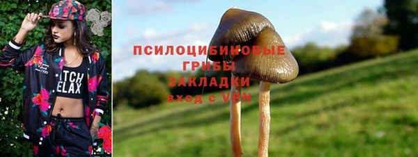 тгк Алексин