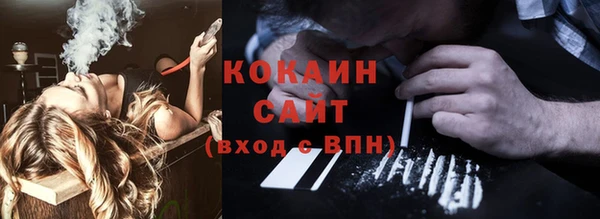 тгк Алексин