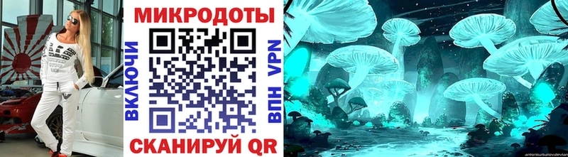 наркотики omg Псилоцибиновые грибы Cubensis Луза